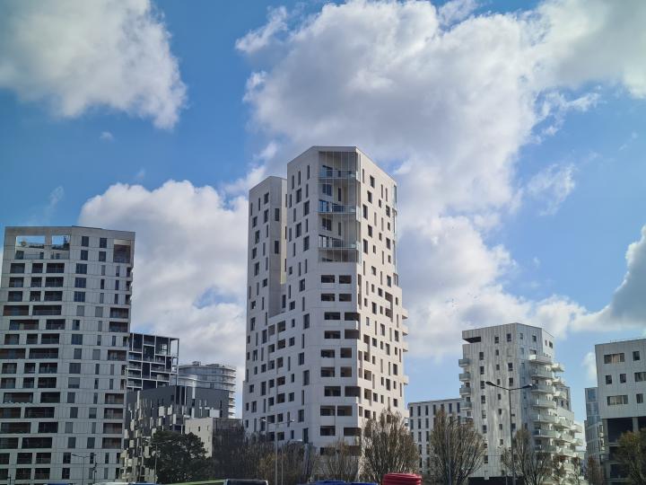 20250314_115107.jpg