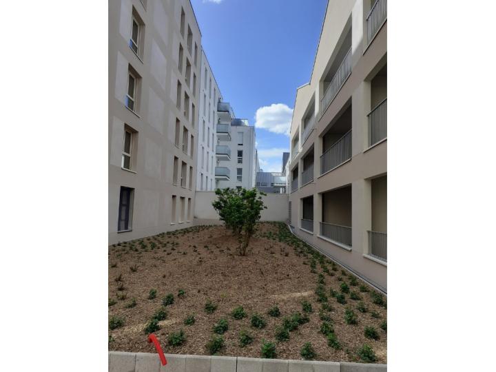 Design sans titre (1).jpg